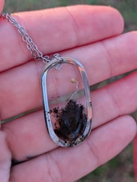 Image 1 of Oval ROOTED Necklace