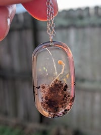 Image 2 of Oval ROOTED Necklace