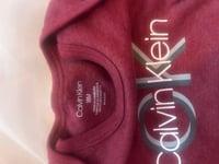 Image 3 of Calvin Klein Bodysuit