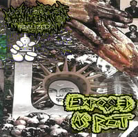 Hallucination Realized / Exposed As Rot - Split CS