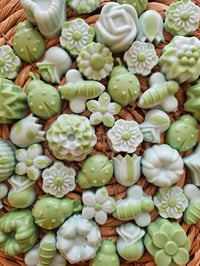 Image 3 of Wild Lime & Gardenia 