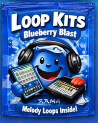 LOOP KITS
