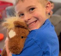 Image 2 of Huggy (Horse) COMING BACK IN MAY