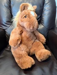 Image 3 of Huggy (Horse) COMING BACK IN MAY