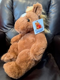 Image 4 of Huggy (Horse) COMING BACK IN MAY
