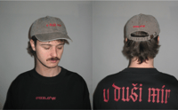 dad cap - dizzlove/v duši mír (washed/brown)