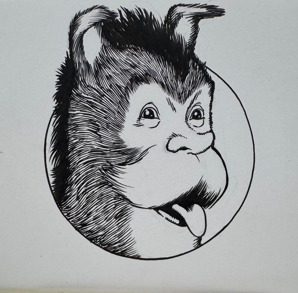 Image of G’nort headshot