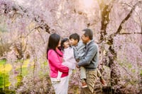 Image 1 of Arnold Arboretum Sunday 4/26/26