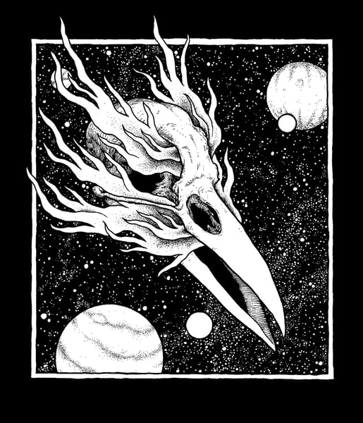Image of Crow Fire