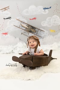 TAKE FLIGHT MINIS