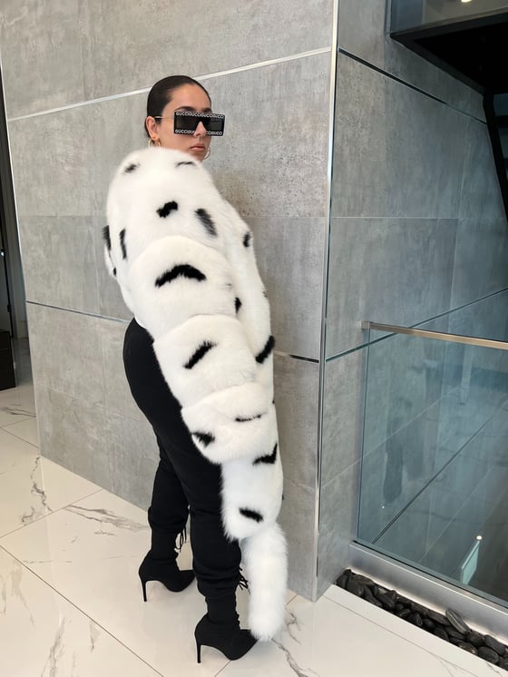 Image of Axel Boa Bomber (zebra stripe)