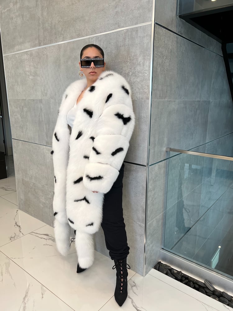 Image of Axel Boa Bomber (zebra stripe)