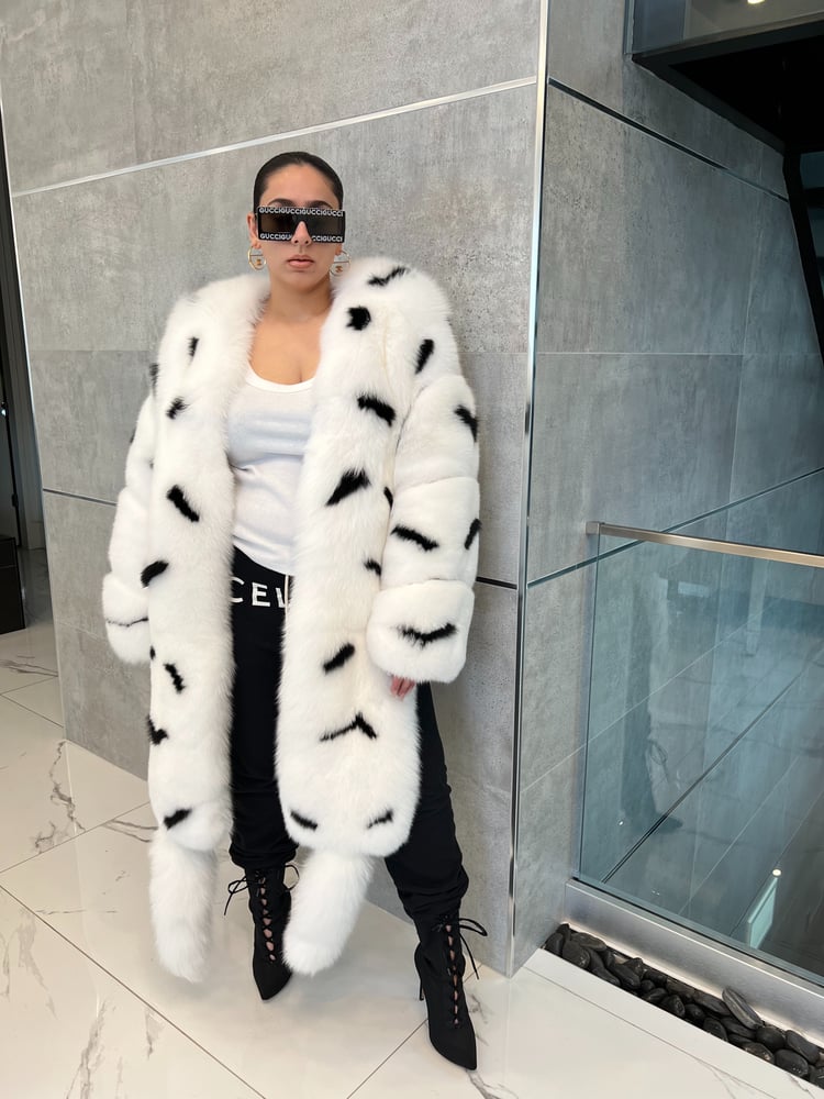 Image of Axel Boa Bomber (zebra stripe)