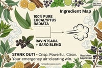 Image 2 of The Stank-Free Trio