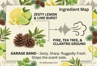 Image 3 of The Stank-Free Trio