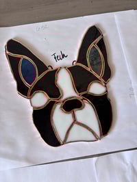 Image 2 of Your Bostons face 