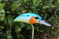 Image 2 of SPEEDBAITS Custom Airbrushed Crankbait 2955