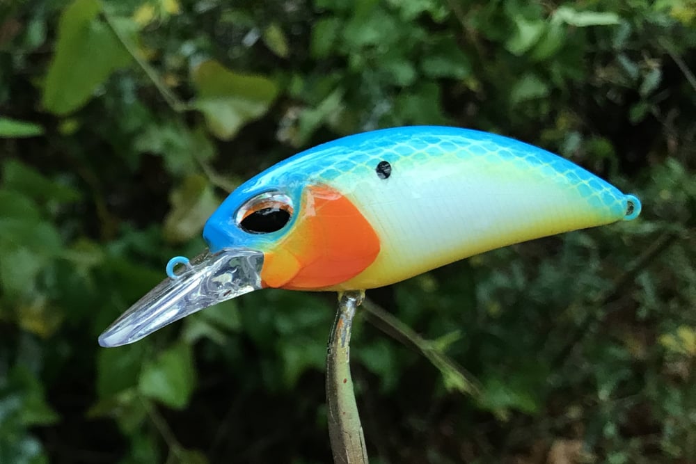 SPEEDBAITS Custom Airbrushed Crankbait 2955