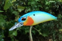 Image 1 of SPEEDBAITS Custom Airbrushed Crankbait 2955