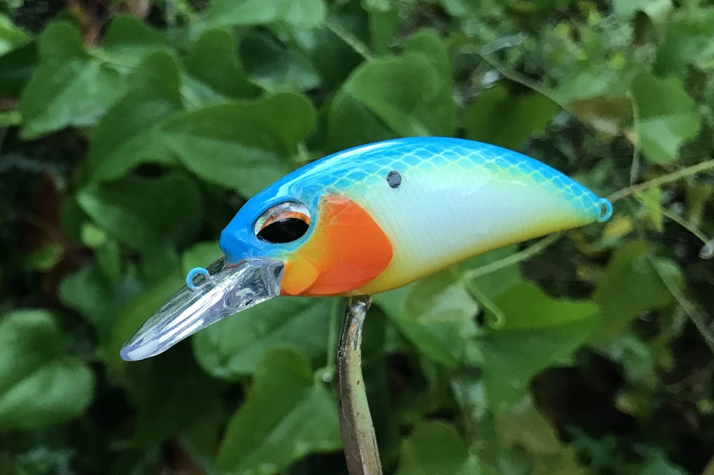 SPEEDBAITS Custom Airbrushed Crankbait 2955 - Image 3