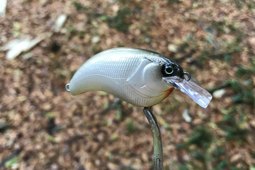 SPEEDBAITS Custom Airbrushed Crankbait 8668 - Image 2