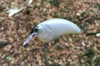 Image 5 of SPEEDBAITS Custom Airbrushed Crankbait 8668