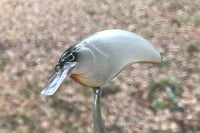 Image 6 of SPEEDBAITS Custom Airbrushed Crankbait 8668