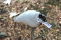 Image 2 of Custom Airbrushed S-CRANK 1.2 Squarebill Crankbait 4569