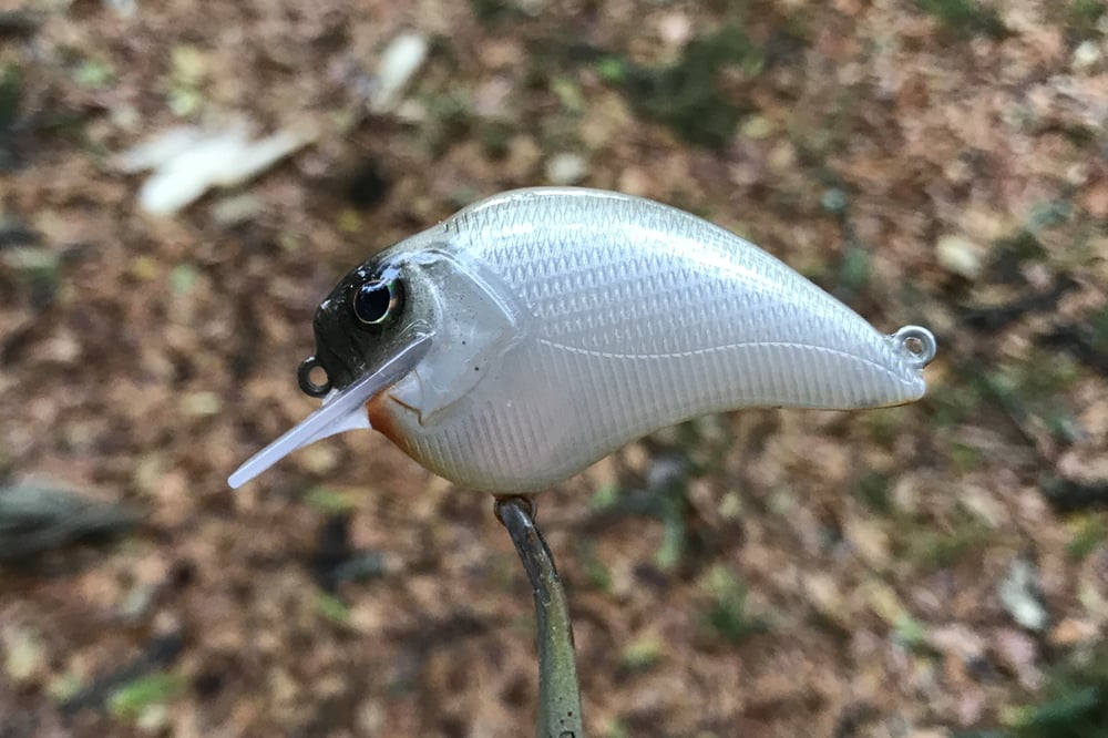 Custom Airbrushed S-CRANK 1.2 Squarebill Crankbait 4569 - Image 4