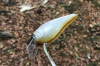 Image 4 of SPEEDBAITS Custom Airbrushed 2.5 Squarebill Crankbait 6977