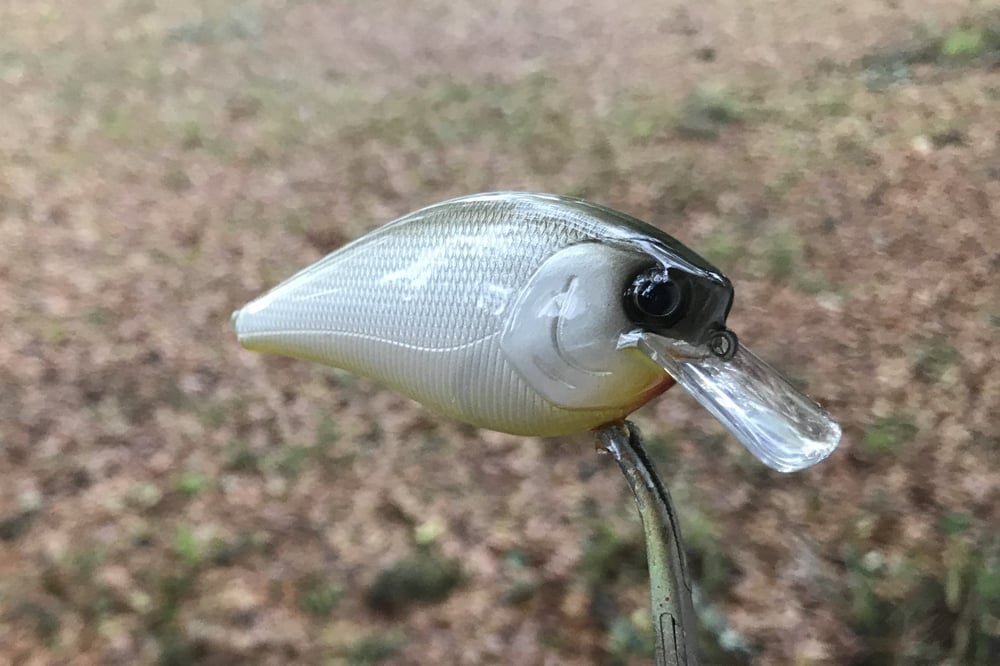 SPEEDBAITS Custom Airbrushed 2.5 Squarebill Crankbait 6977 - Image 6