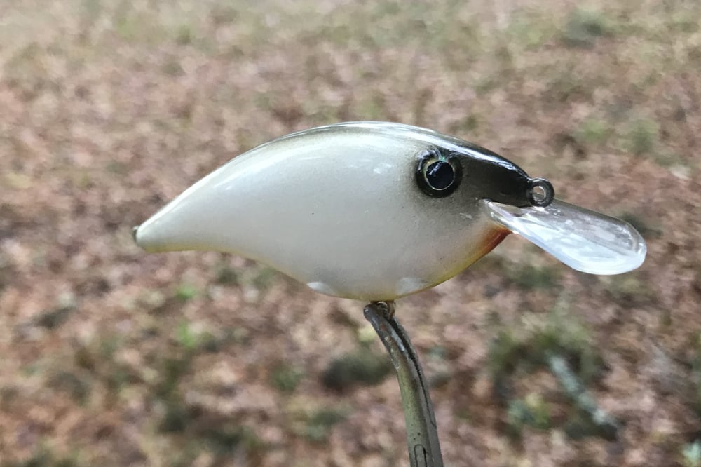 SPEEDBAITS Custom Airbrushed BigOne Crank 2508 - Image 5