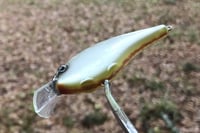 Image 6 of SPEEDBAITS Custom Airbrushed BigOne Crank 2508