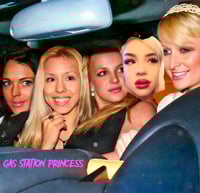 Celebrities Crashout Poster