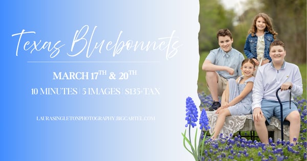 Image of Texas Bluebonnets