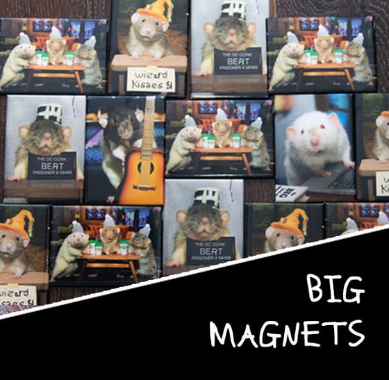 Image of BIG Magnets  