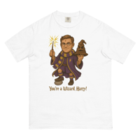 Image 1 of YOU'RE A WIZARD, HARRY!