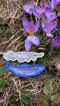 Image 3 of Herring sticker