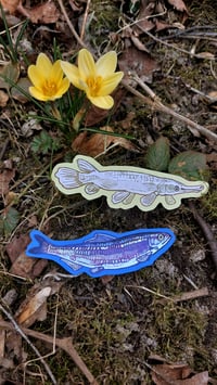 Image 4 of Herring sticker