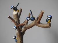 Image 8 of spring thicket & seven birds