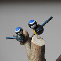 Image 13 of spring thicket & seven birds