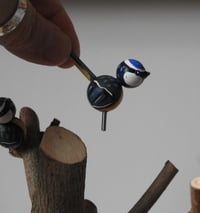 Image 14 of spring thicket & seven birds