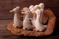 Image 2 of Tiny ducks