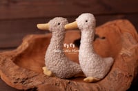 Image 3 of Tiny ducks