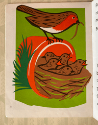 Image 3 of The Robin Redbreast by Eileen Saville Taylor 