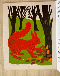 Image 2 of The Red Squirrel by Eileen Saville Taylor