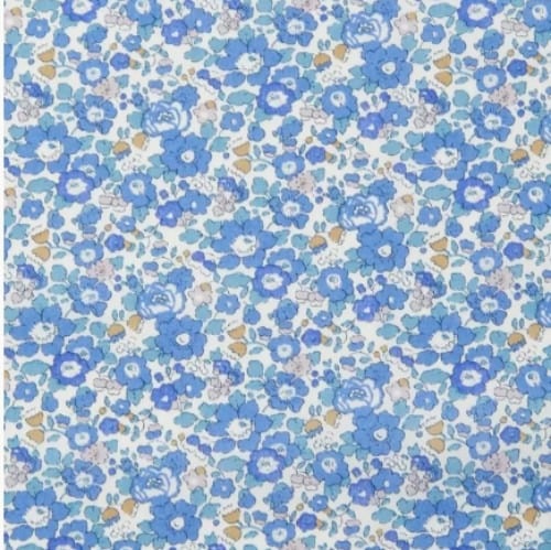 Image of BETSY ANN ( G ) 