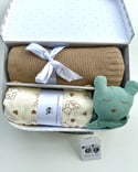 Large Baby Gift Set