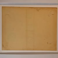 Image 2 of 1980 hand colored Spaulding & Roger’s mushroom flash sheet 11x14