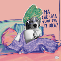 Cosa vuoi che ti dica?